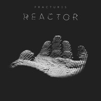 Fractures - Reactor