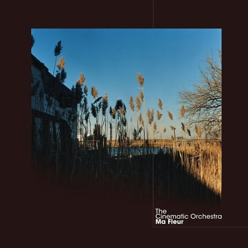 The Cinematic Orchestra - To Build A Home (Ft. Patrick Watson)